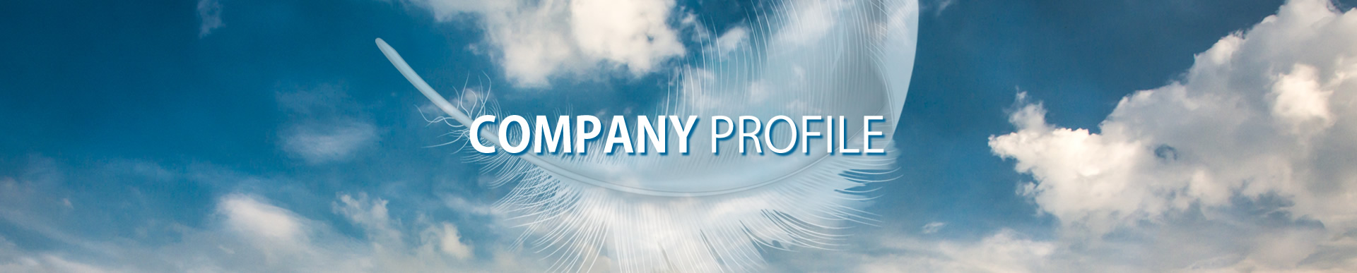 CompanyProfile